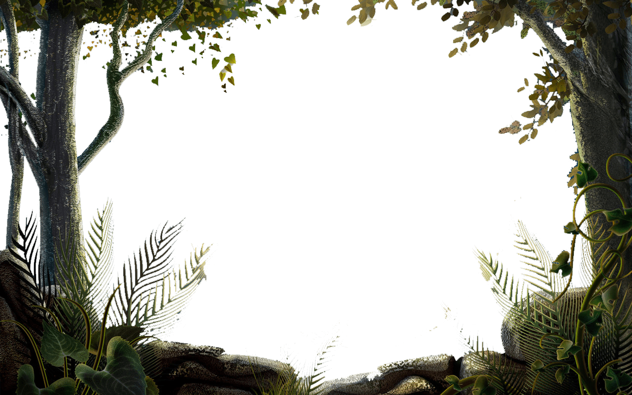 image jungle proche